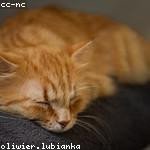 Quinton Turner Profile Picture