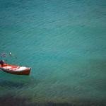 Kathryne Cruickshank Profile Picture