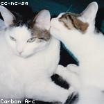 Boyd Barrows Profile Picture