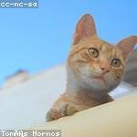 Berneice Champlin Profile Picture