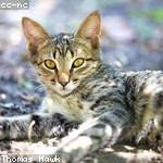 Nedra Hoppe Profile Picture