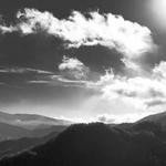 Jonathan Borer Profile Picture