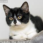 Alvera Hansen Profile Picture