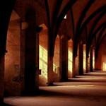 Velva Schaefer Profile Picture