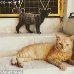 Kristofer Jacobi Profile Picture