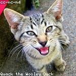 Carolanne Reichel Profile Picture