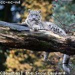 Raegan Kovacek Profile Picture