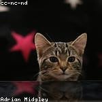 Jeanette Breitenberg Profile Picture