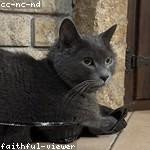 Pascale Borer Profile Picture