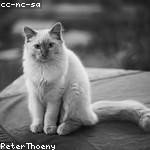 Sister Kunde Profile Picture