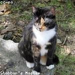 Evelyn Brekke Profile Picture