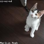 Dana Farrell Profile Picture