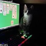 Citlalli Prosacco Profile Picture