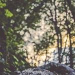 Leola Olson Profile Picture