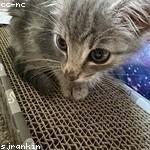 Lilian Schumm Profile Picture