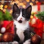 Noemy Oberbrunner Profile Picture