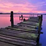 Tianna Ryan Profile Picture