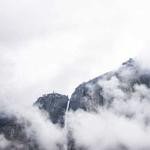 Loyce Borer Profile Picture