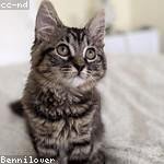 Leanna Gleichner Profile Picture