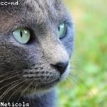 Timothy Considine Profile Picture