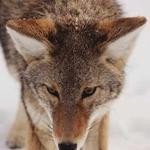 Mara Dooley Profile Picture