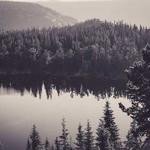 Heber Howe Profile Picture