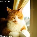 Vada Schuppe Profile Picture