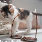 Rosa Dicki Profile Picture