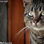 Frida Eichmann Profile Picture