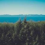 Yoshiko Nolan Profile Picture