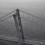 Dariana Denesik Profile Picture