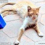 Bianka Champlin Profile Picture