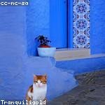 Zena Kuphal Profile Picture