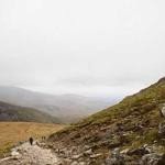 Gretchen Turcotte Profile Picture