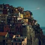 Maurine Koelpin Profile Picture