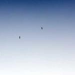 Pattie Sporer Profile Picture