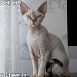 Graham Ledner Profile Picture