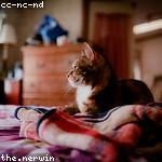 Madyson Sauer Profile Picture