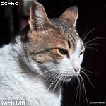 Amani Tromp Profile Picture