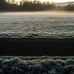 Jena Boyer Profile Picture