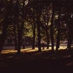 Christian Weissnat Profile Picture