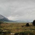 Damaris Brekke Profile Picture