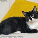 Maudie Carroll Profile Picture