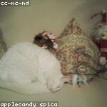 Halie Smitham Profile Picture