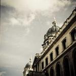 Maurine Purdy Profile Picture