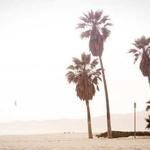 Dana Gleason Profile Picture