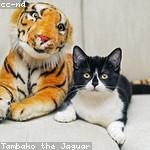 Heath Dare Profile Picture