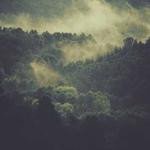 Brannon Toy Profile Picture