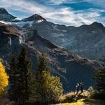 Princess Bechtelar Profile Picture