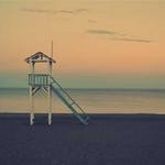 Muhammad Ziemann Profile Picture